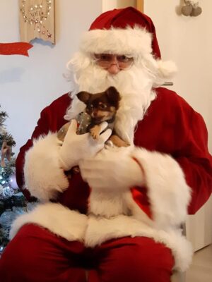 déguisement Père Noël
