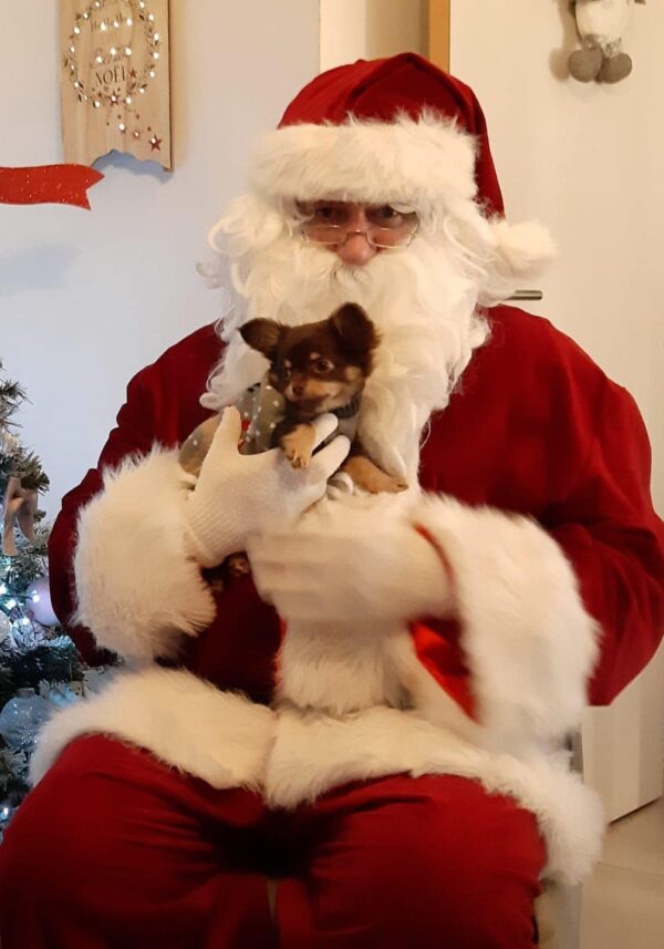 déguisement Père Noël