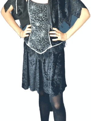 Déguisement robe araignée